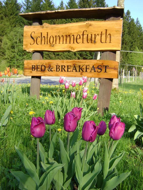 Bed & Breakfast Schlommefurth Bed & Breakfast St. Vith Exterior foto